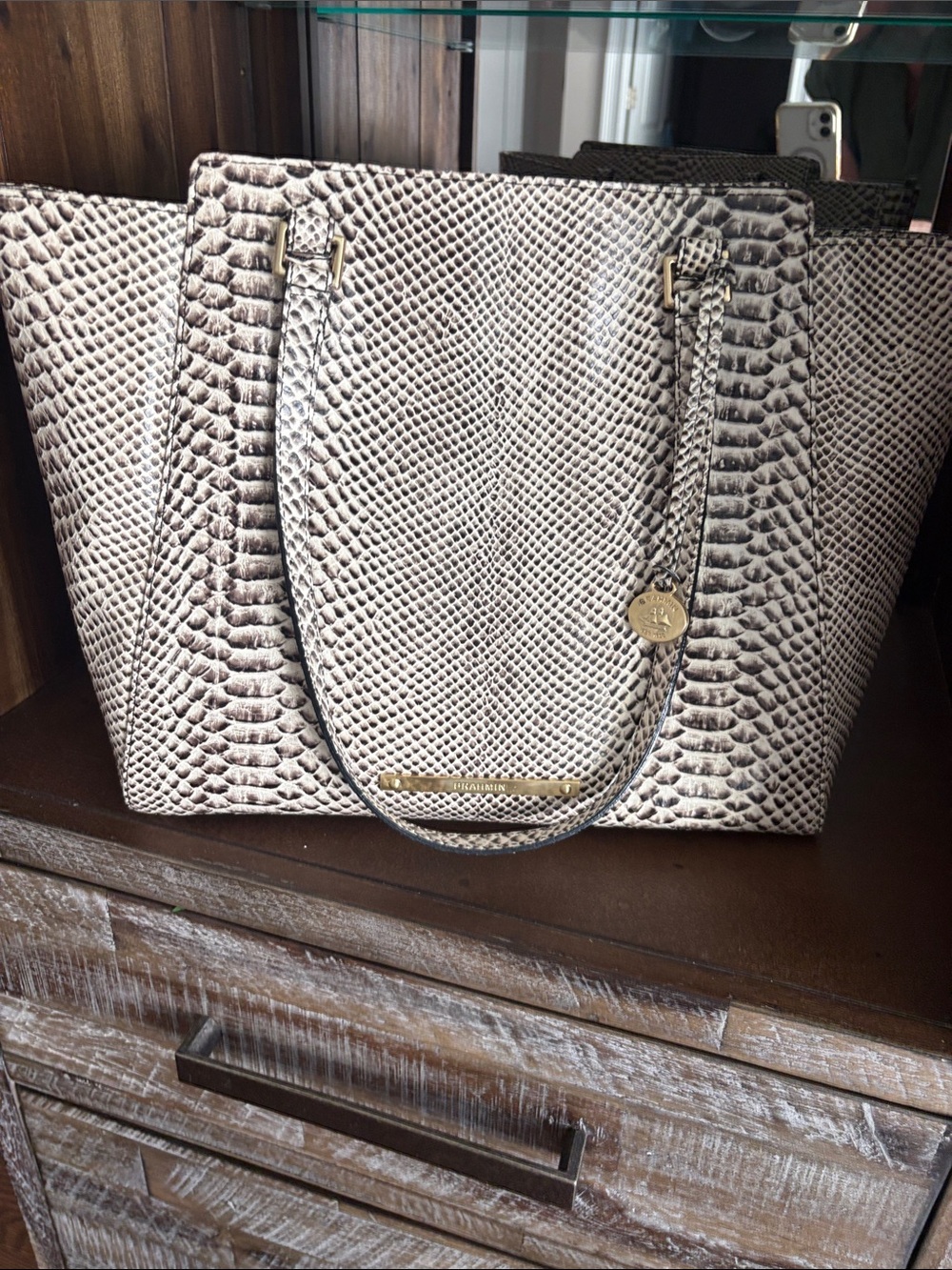 Brahmin Snake-Embossed Tote in Cream and Dark Brown